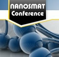 logo NANOSMAT
