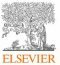 elsevier